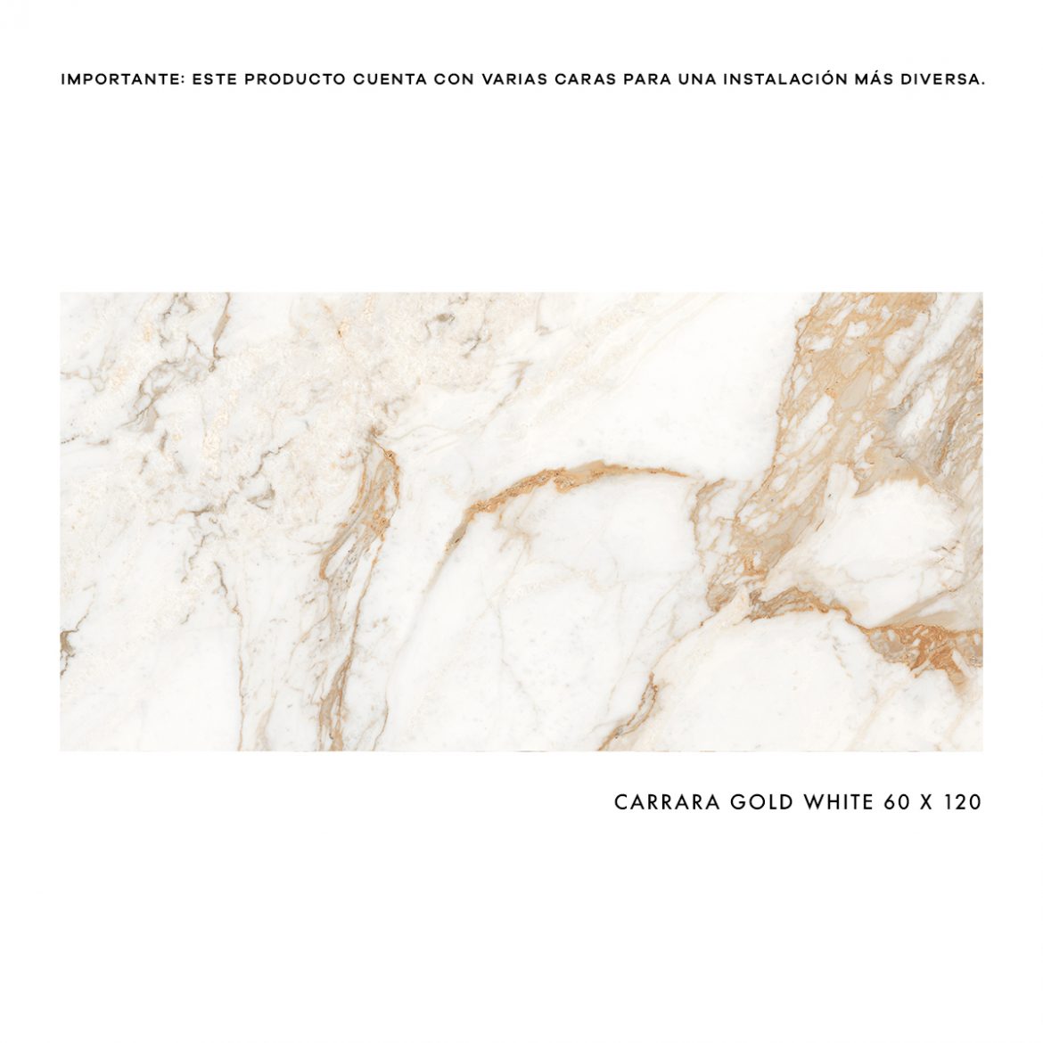 CARRARA GOLD WHITE Nova Casa Pisos Azulejos Sanitarios