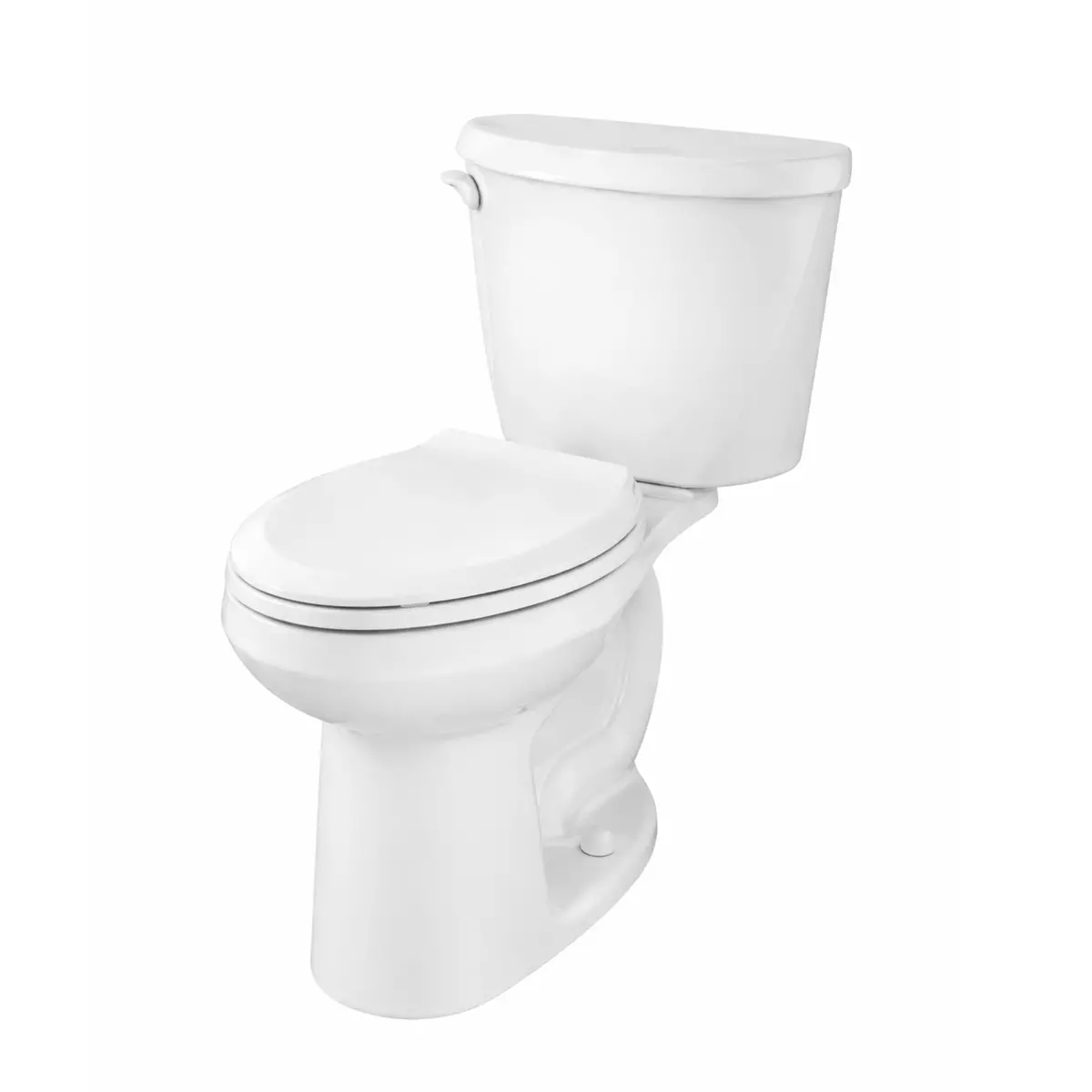 TAZA COLONY3 ADA ALARGADA 
