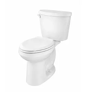 TAZA COLONY3 ADA ALARGADA 